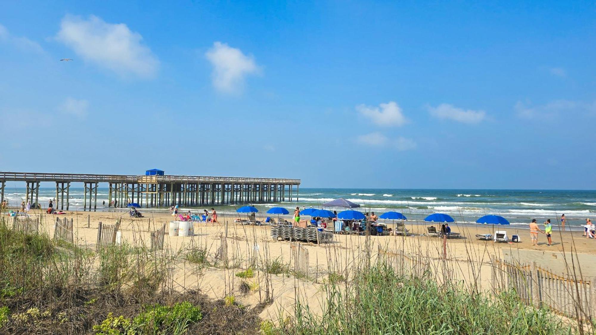 Herons Haven Coastal Elegance With Pool Access 223 South Padre Island Exterior photo